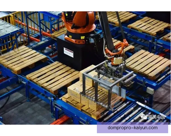 雷吉纳未来规划展望，俱乐部持续提升竞争力与团队建设